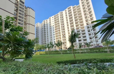 Find flats in Okas Residency , Shusant Golf city